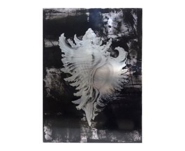 Haeckel Shell - A